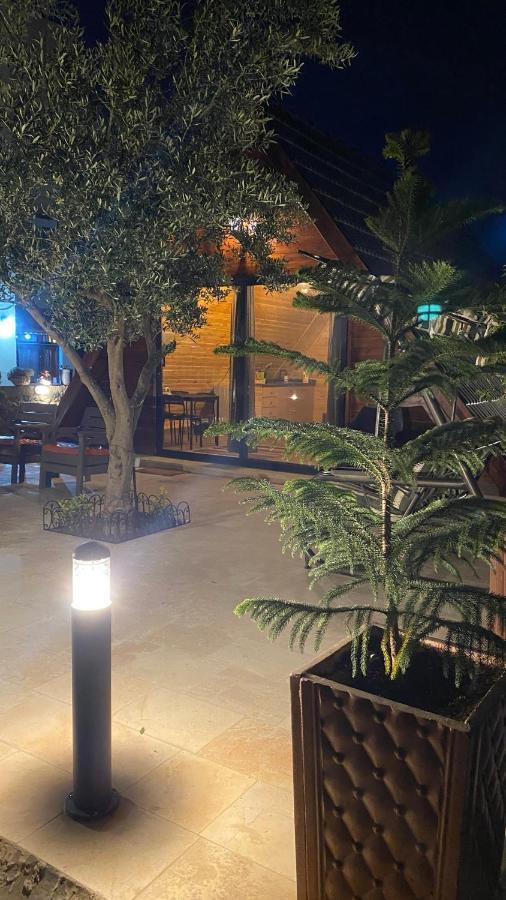 מאדאבה Olive Cottage מראה חיצוני תמונה